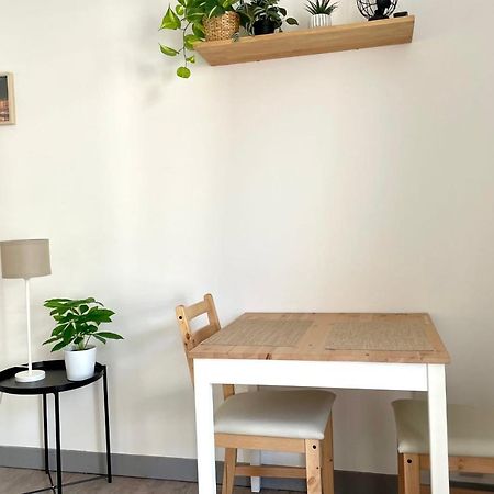#Dd L'Ecrin Studio Ile Verte Balcony Grenoble Buitenkant foto