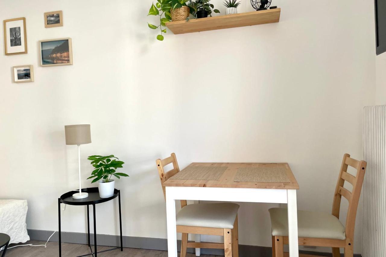 #Dd L'Ecrin Studio Ile Verte Balcony Grenoble Buitenkant foto